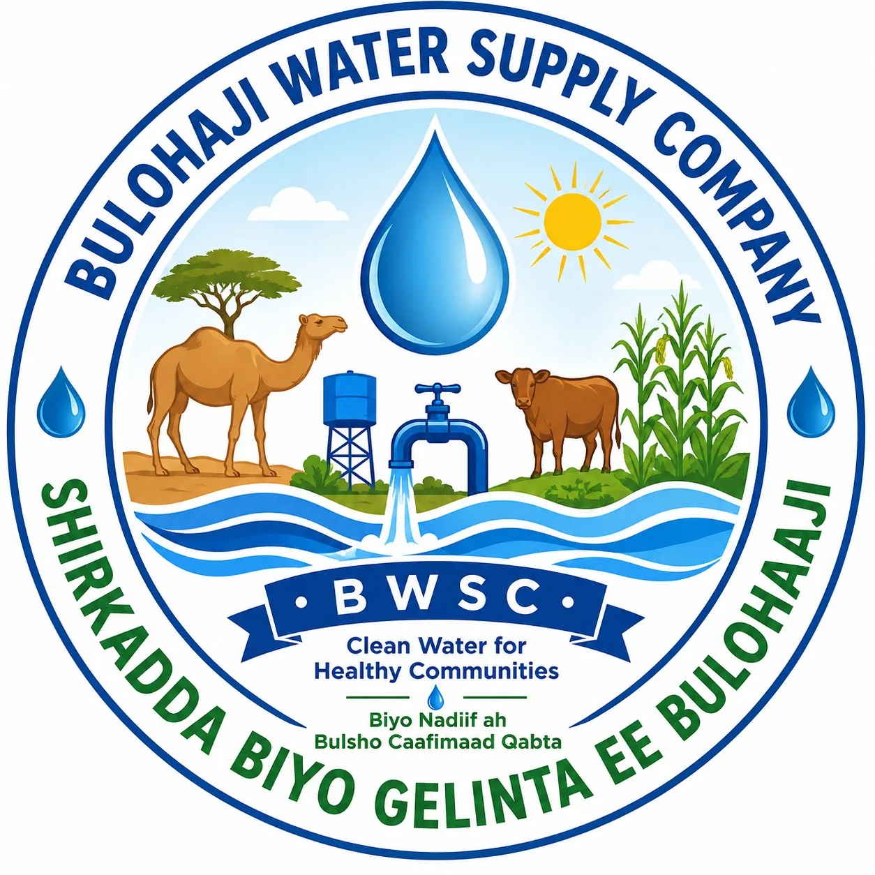 BWSC logo